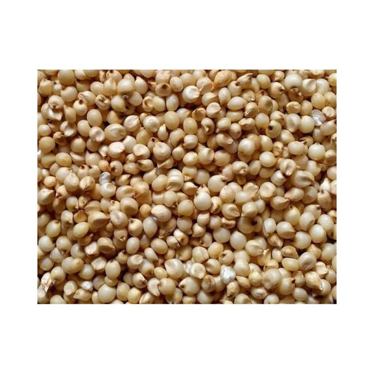 Jowar / Millet Harish Food Zone